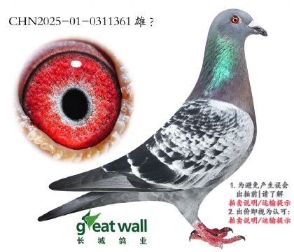 10.ھ.0311361