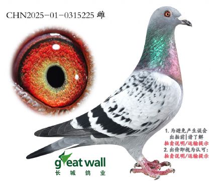 11.渣׵.0315225