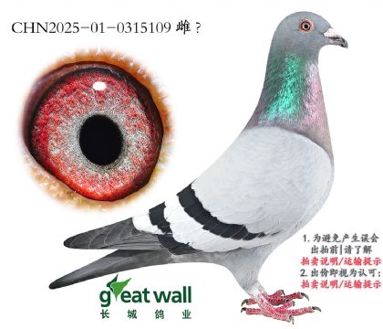 12.ͼ˹003.0315109