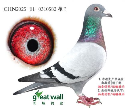 15.ھȫӴ.0310582