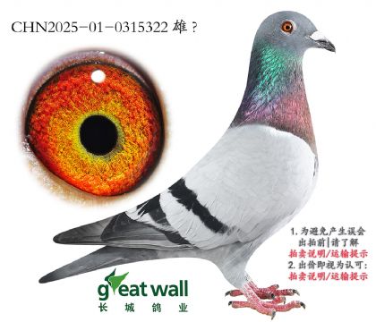 16.ƶ.0315322