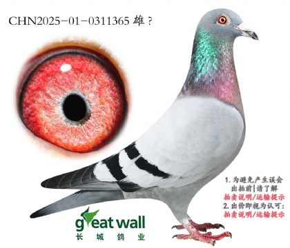 19.ͼ˹x.0311365