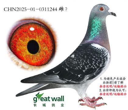 20.ͼ˹003.0311244