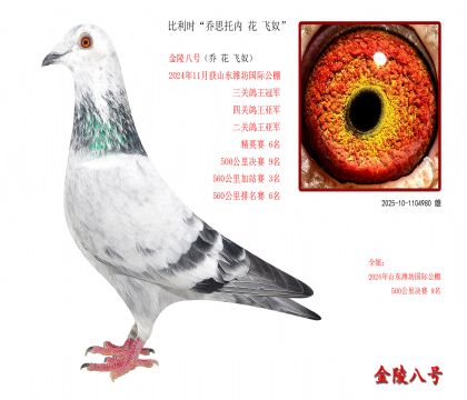 6ʱ ˼ڡ ū