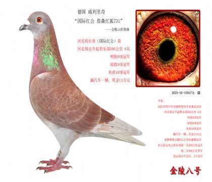 8¹ 桰ʺ칫 ղɭ731