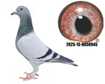 ֱŮ漣32392ȫƽ