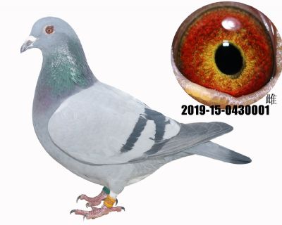 ĸ
