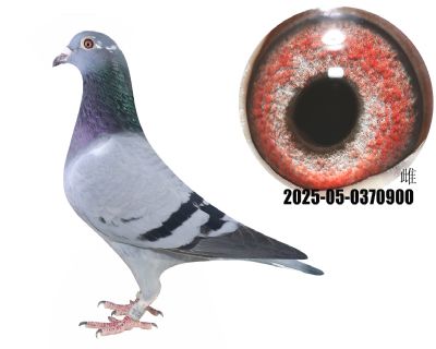 漣32ֱ漣32ֱŮߴ