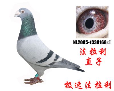 游