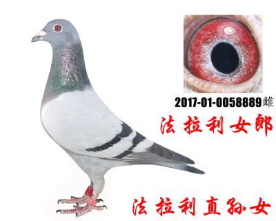 ĸ
