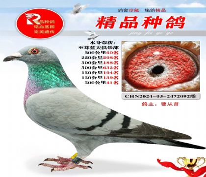 50041