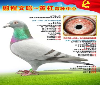 微信图片_20251023170108