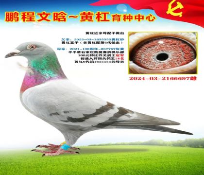 微信图片_20251023170124