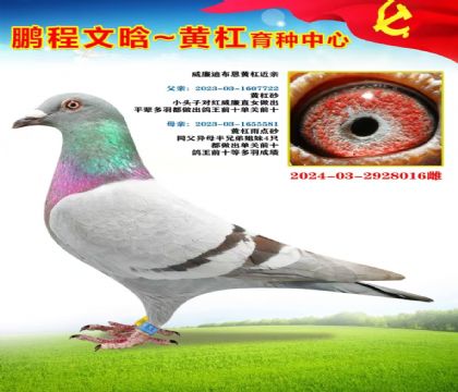微信图片_20251023170245