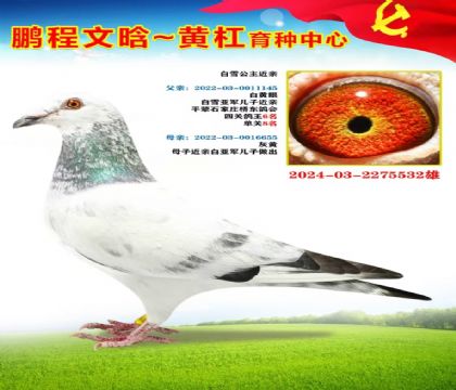 微信图片_20251023170256