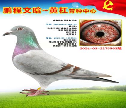 微信图片_20251023170300