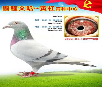 微信图片_20251023170304