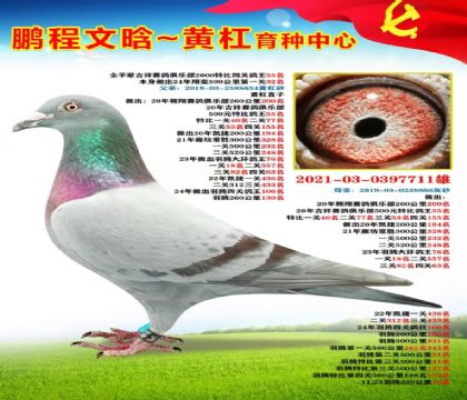 微信图片_20251023170308