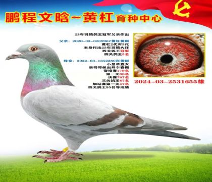 微信图片_20251023170312