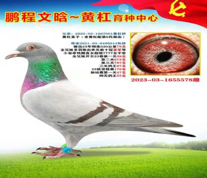 微信图片_20251023175339