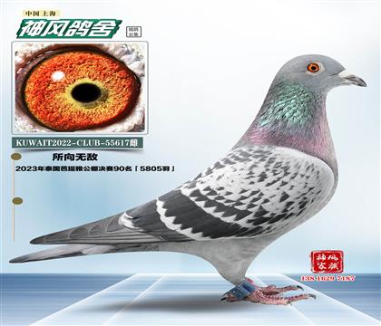 ĸ
