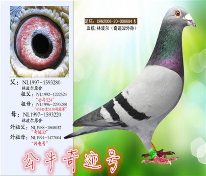 游