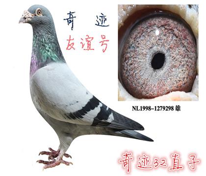游