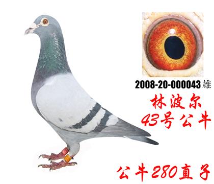 游