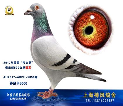 үү
