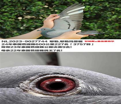 ĸ