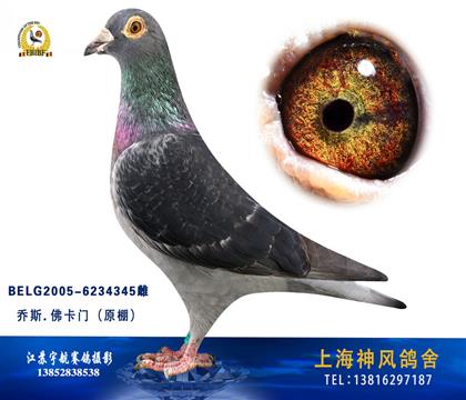 Ϸĸ