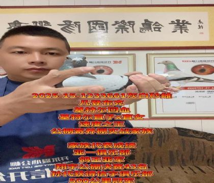 提速金母!凡登布克基特尔回血金母