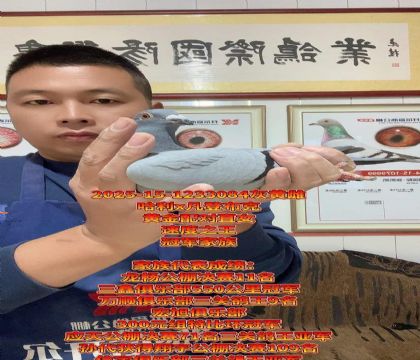 黄金配对直女!哈利x凡登布克!完美金母