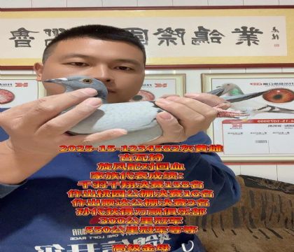 古瓦特旋风配对回血!公棚实战家族小金母
