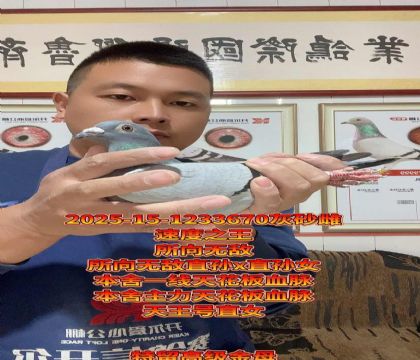天花板所向无敌回血!天王号直女!高级金母