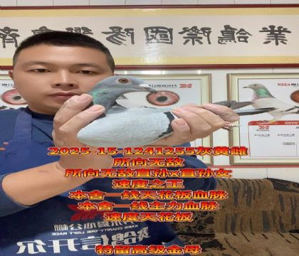 本舍天花板所向无敌直孙x直孙女!回血金母