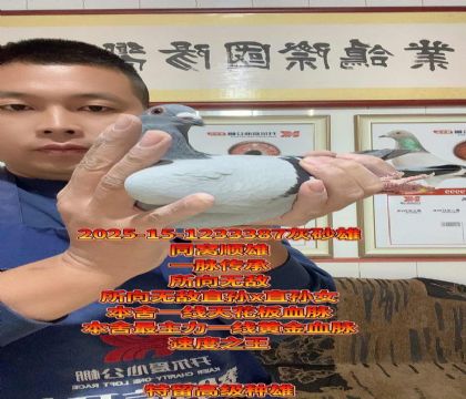 天花板血脉所向无敌!天王号直子!超级种雄