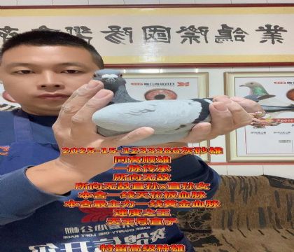 天花板血脉所向无敌回血!天王号直子!超级种雄
