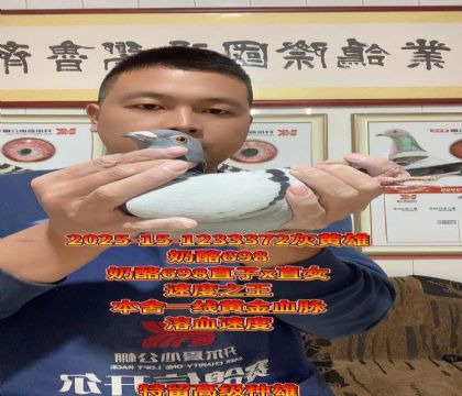 奶酪698直子x直女回血!完美顶级种雄