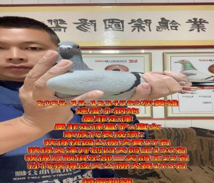 速度小钢炮!墨菲定律直子x直女回血种雄