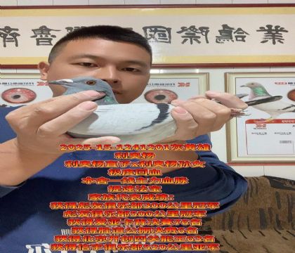 提速法宝!利奥杨直子x杨孙女!回血种雄