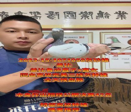 全天候实战家族。盖比鲁迪直子x直女回血