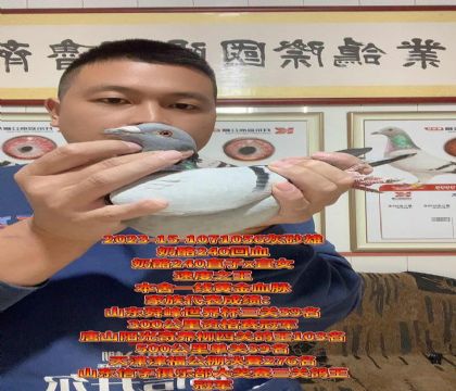 速度之王!奶酪240直子x直女回血种雄