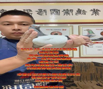 速度天花板!所向无敌顶尖种雄!高级种雄