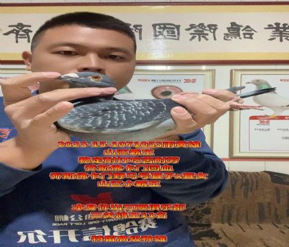 山区霸主!乔斯佛卡门野马号回血!顶尖种雄