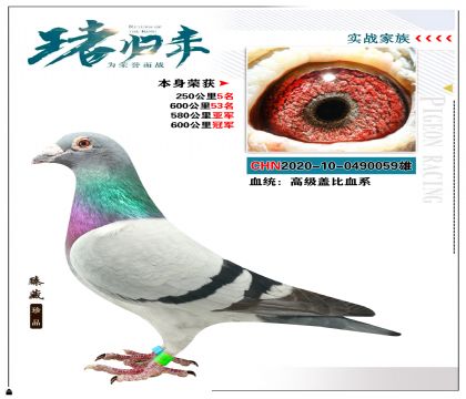 ǱѪϵ ɼ600ھ