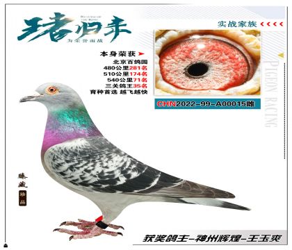 ݻԻ-ˬѡͱٸ԰ ظ35