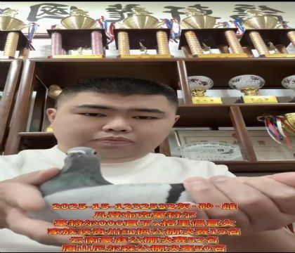 ǲˡƥ006ֱX塱ֱŮ