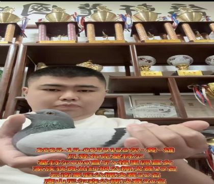 ǲˡƥ006ֱX塱ֱŮ