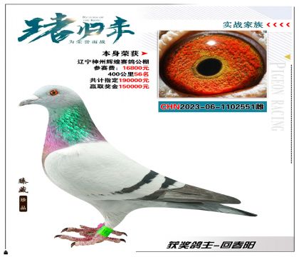 ɼݻԻ빫40056